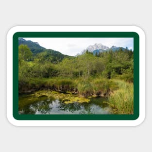 Zelenci Nature Reserve, Slovenia Sticker